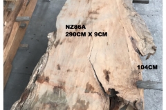 NZ86A