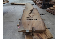 NZFA103