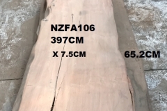 NZFA106