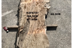 NZFA107