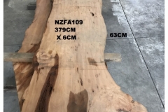NZFA109