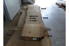 NZFA176