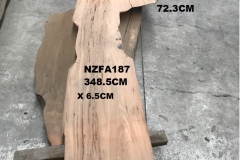 NZFA187