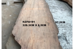 NZFA191