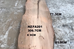 NZFA201