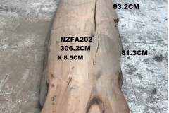 NZFA202