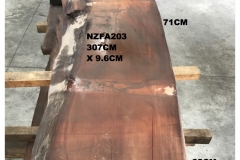 NZFA203