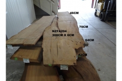 NZFA204