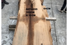 NZFA205