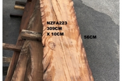 NZFA223