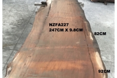 NZFA227