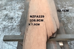 NZFA229