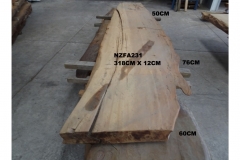 NZFA231