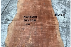 NZFA260