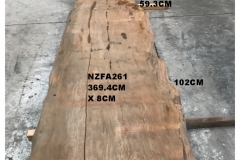 NZFA261