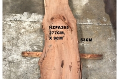 NZFA265