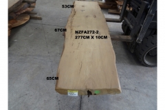 NZFA272-2