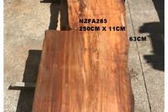 NZFA285