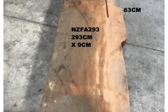 NZFA293