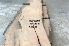 NZFA297