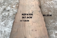 NZFA300