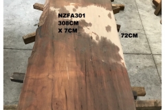 NZFA301