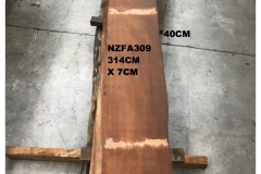 NZFA309