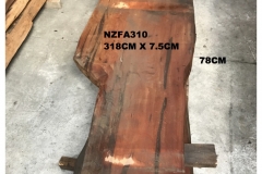 NZFA310