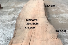 NZFA79