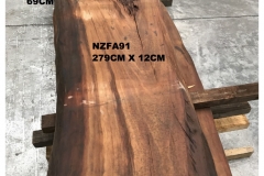 NZFA91