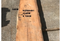 NZFA9481