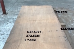 NZFA977