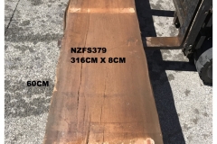 NZFS379