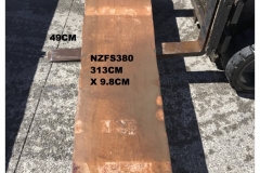 NZFS380