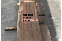 NZFS381