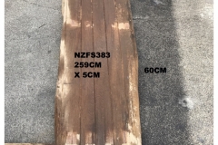 NZFS383