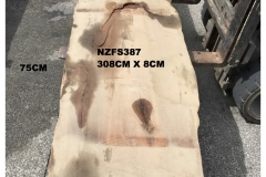 NZFS387
