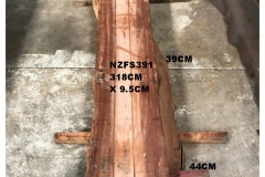 NZFS391