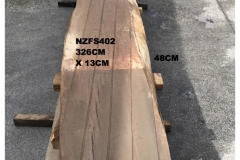 NZFS402