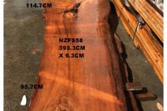 NZFS58