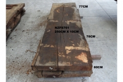 NZFS761