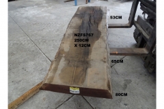 NZFS767