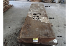 NZFS770