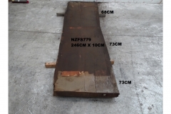NZFS779