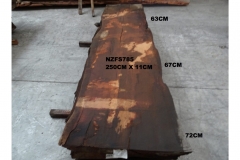 NZFS785