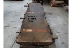 NZFS787
