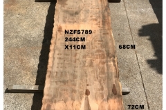 NZFS789