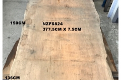 NZFS824