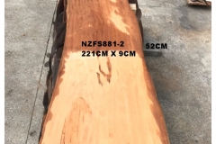 NZFS881-2