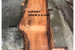 NZFS881